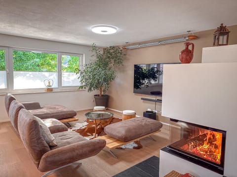 TV and multimedia, Living room, Seating area, fireplace