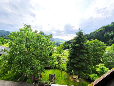Natural landscape, Mountain view
