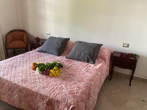 Casa Elena Apartment in Pisa