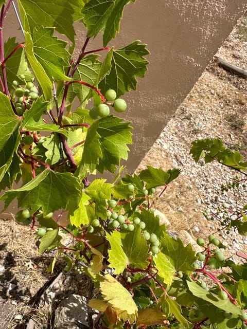Villa felicidad Chalet in Marina Baixa
