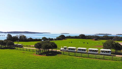 Park Plaza Apartments Apartment in Fažana