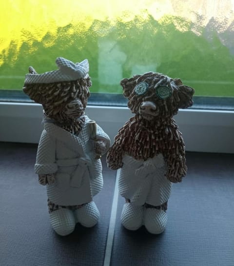 Aira Lodge Accommodation Bed and Breakfast in County Clare