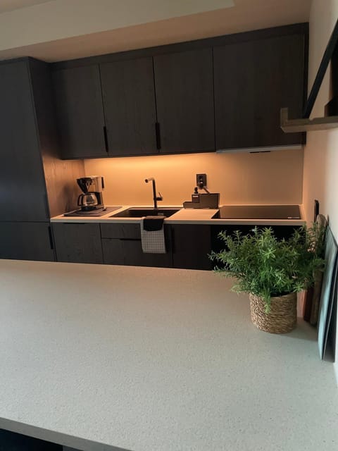 Nybygd og sentral leilighet Apartment in Lofoten