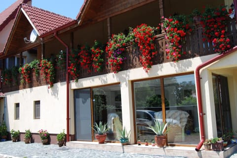 Facade/entrance, Decorative detail