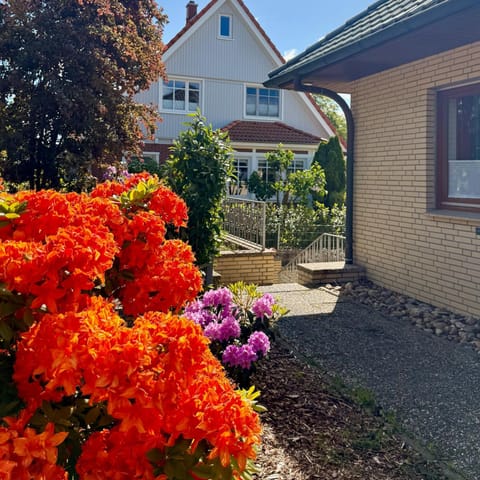 Property building, Spring