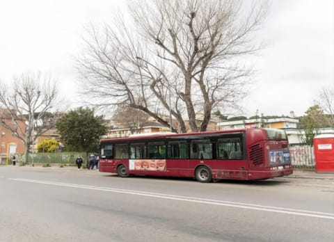 Day, People, Location, group of guests, shuttle