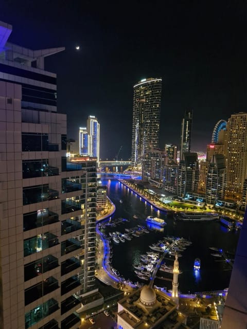 Night, City view, River view