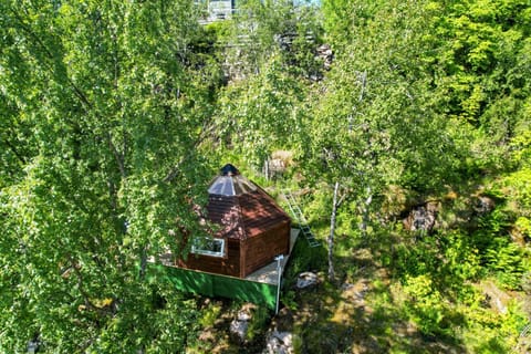 Day, Natural landscape, Garden, Garden view