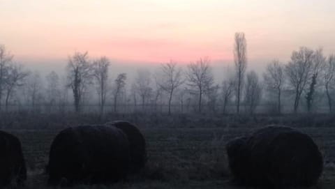 Agriturismo Natura Salute Farm Stay in Friuli-Venezia Giulia