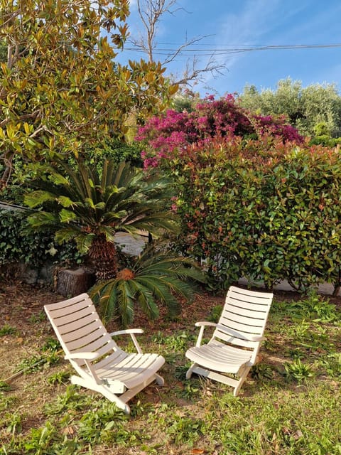 Spring, Day, Garden, Garden view, sunbed