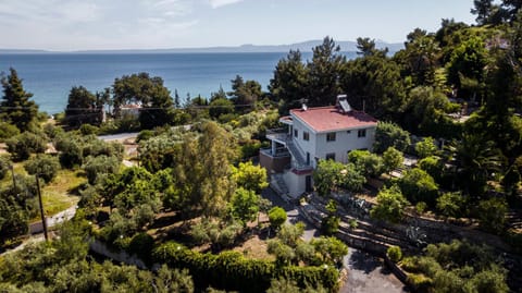 Salty Pines Villa House in Halkidiki