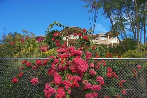 Property building, Garden