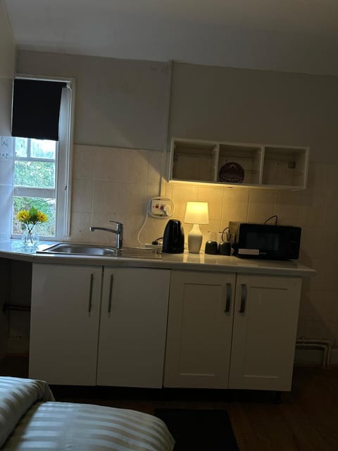 Kitchen or kitchenette, microwave