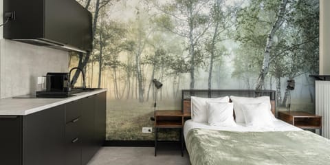 Bed, Kitchen or kitchenette, Bedroom