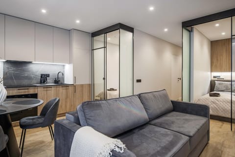 Bed, TV and multimedia, Kitchen or kitchenette, Living room, Photo of the whole room, Seating area, Dining area, Bedroom