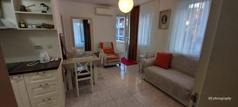 Bed, Kitchen or kitchenette, Living room, Photo of the whole room, Seating area, Dining area