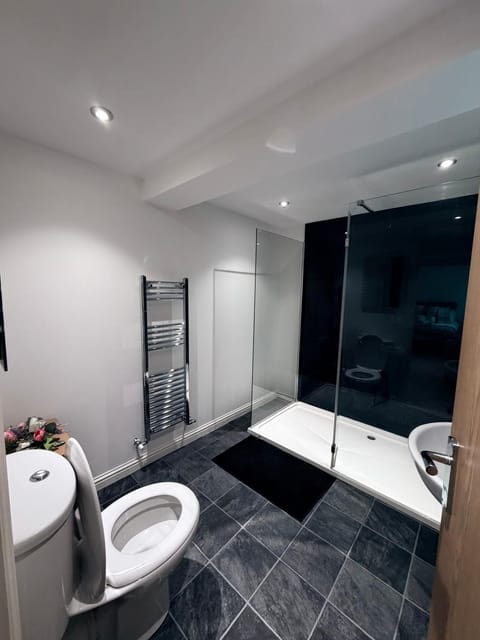 Unique Modern Studio Apartment Apartment in Bellshill