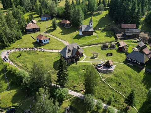Spring, Natural landscape, Bird's eye view, Garden