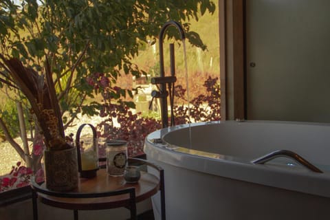 Windows House House in State of Rio de Janeiro