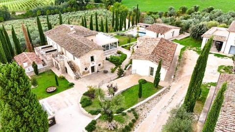 Bird's eye view, Garden
