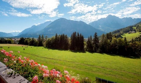 TAMERBURGERHOF Farm Stay in Lienz
