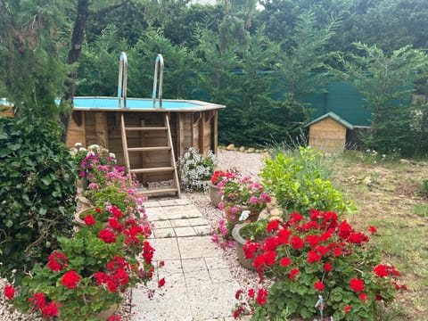 Garden, Swimming pool