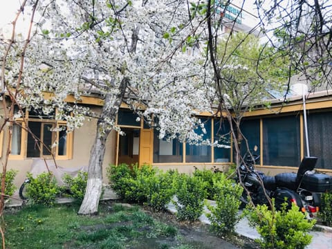 Property building, Day, Garden, Garden view
