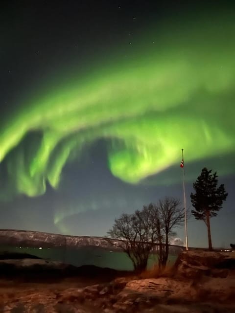 Romslig og sentrumsnær enebolig Villa in Lofoten