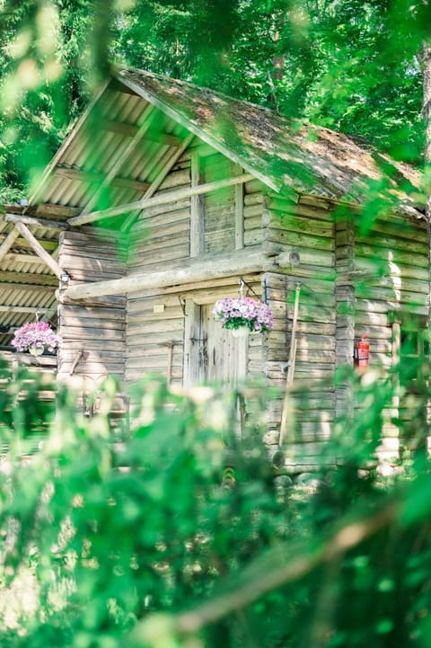 Property building, Natural landscape, Garden view