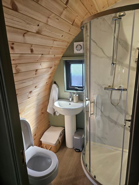 Silver Valley Glamping Apartment in County Clare