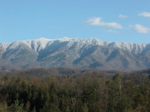 The Big Kahuna by Venture Smoky Mountains House in Gatlinburg