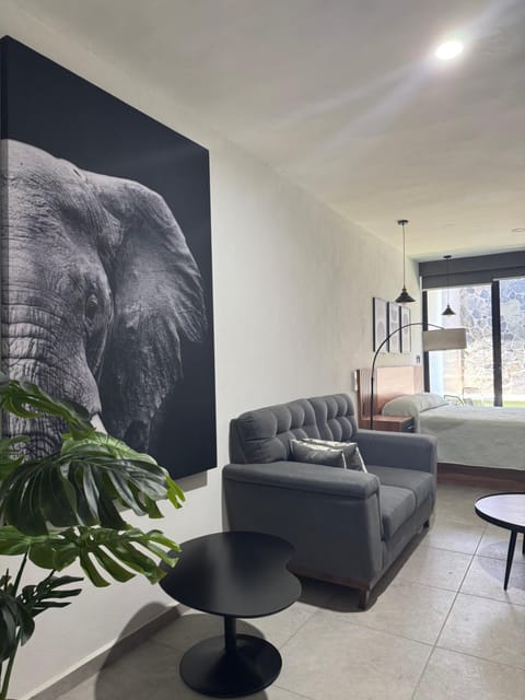 Departamento Colima 1 Apartment in Colima