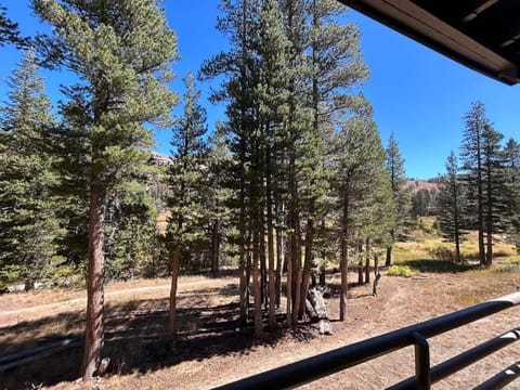 Kirkwood Studio Full Kitchen & Meadow Balcony House in Kirkwood