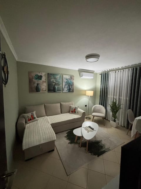 Living room, Photo of the whole room, Seating area