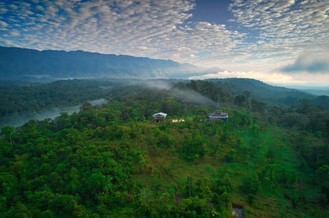 Natural landscape