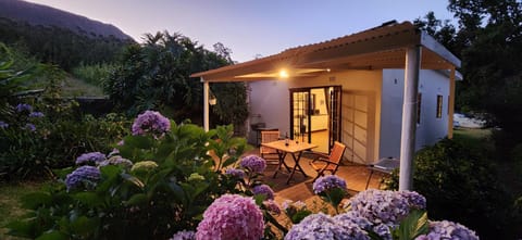 Property building, Garden, Balcony/Terrace