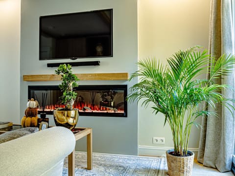 TV and multimedia, Seating area, fireplace