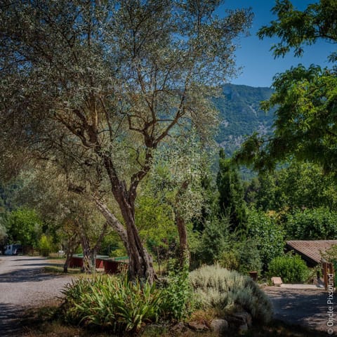 Camping Domaine de la GAUTIERE Campground/
RV Resort in Provence-Alpes-Côte d'Azur