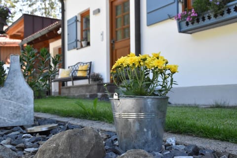 Property building, Summer