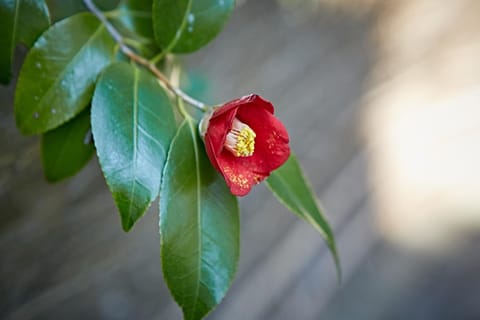 Nearby landmark, Spring, Other