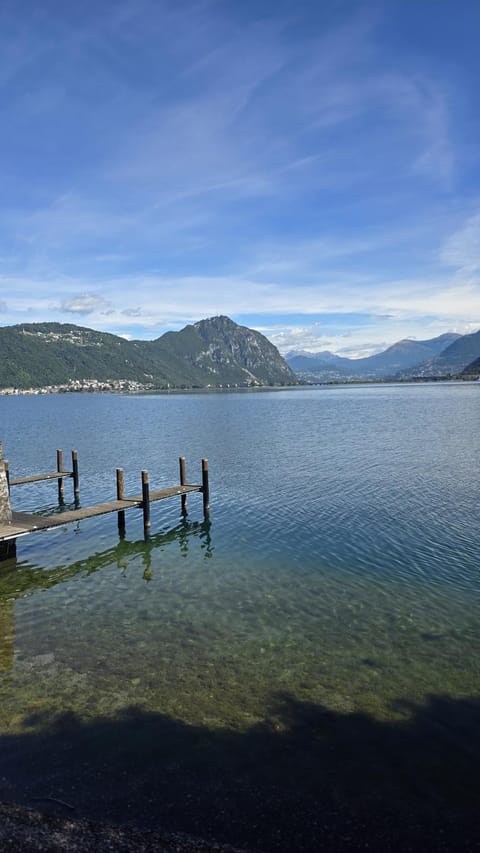 Lake view