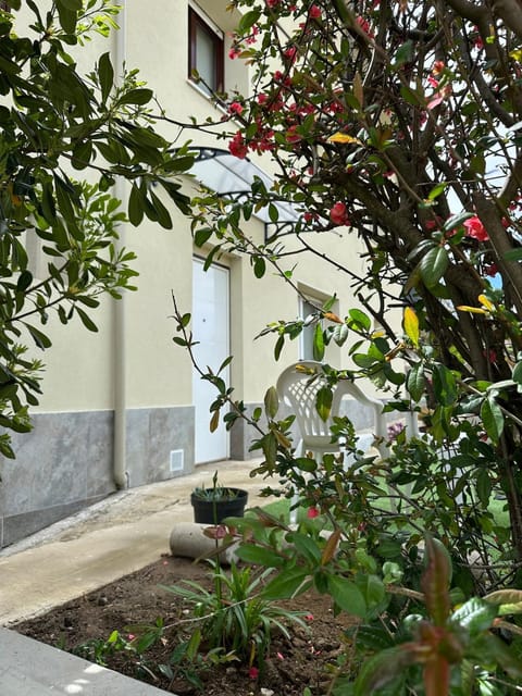 Garden, acessibility