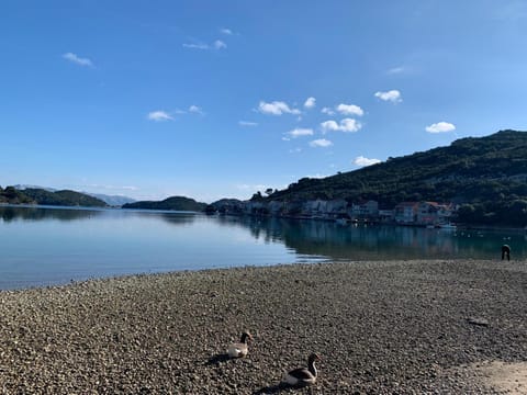 Apartments Dabelić Bed and Breakfast in Dubrovnik-Neretva County