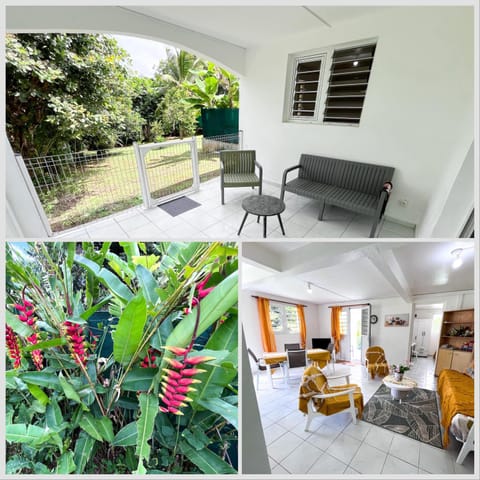 Patio, Day, Garden, Garden view