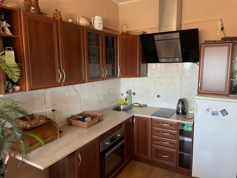 Apartman Janković Apartment in Serbia