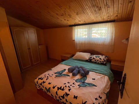 Apartman Janković Apartment in Serbia