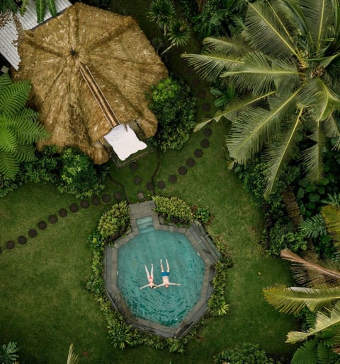 Spring, Day, People, Natural landscape, Bird's eye view, Garden, Garden view, Pool view, Swimming pool, sunbed