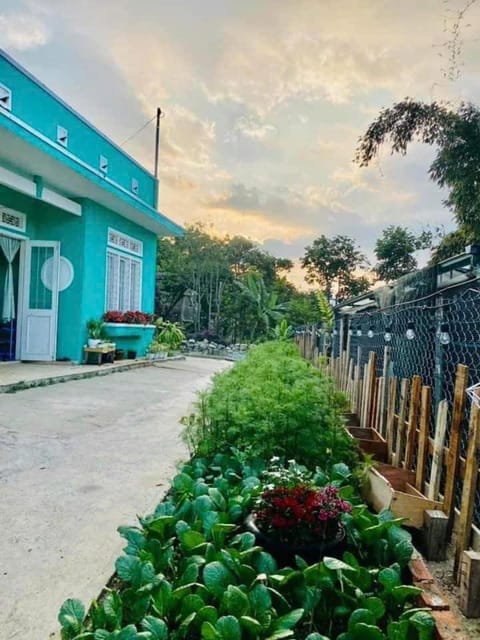 Day, Garden, Garden, Garden view