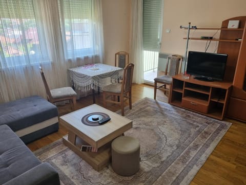 Apartman Ilić 1 Apartment in Serbia