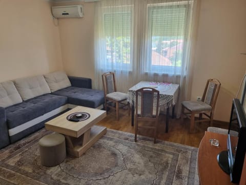 Apartman Ilić 1 Apartment in Serbia